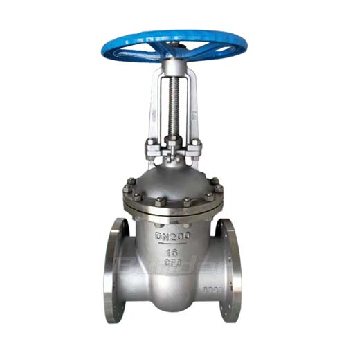 Stainless Steel Gate Valve		4